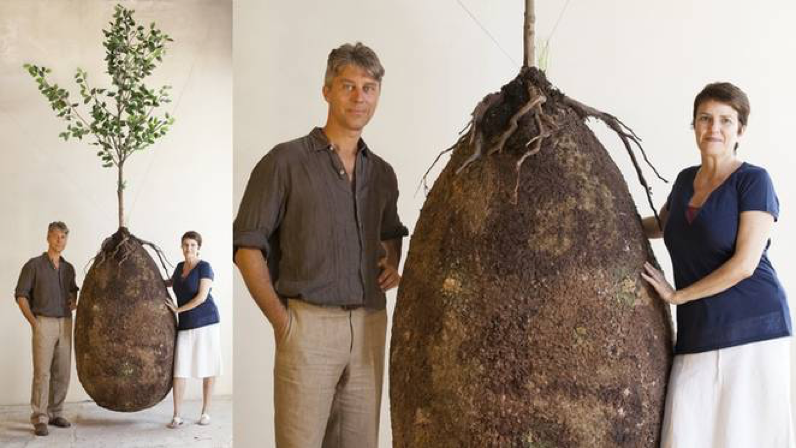 Capsula mundi photo via Treehugger